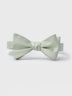 Pale Seafoam Butterfly Bow Tie