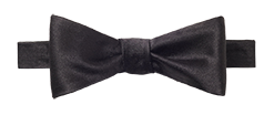 Black Butterfly Bow Tie