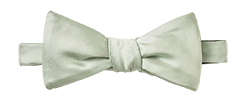 Pale Seafoam Butterfly Bow Tie