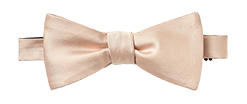 Apricot Butterfly Bow Tie