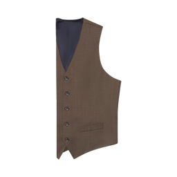 Brown Suit Vest