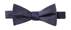 Midnight Butterfly Bow Tie