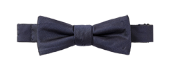 Navy Butterfly Bow Tie