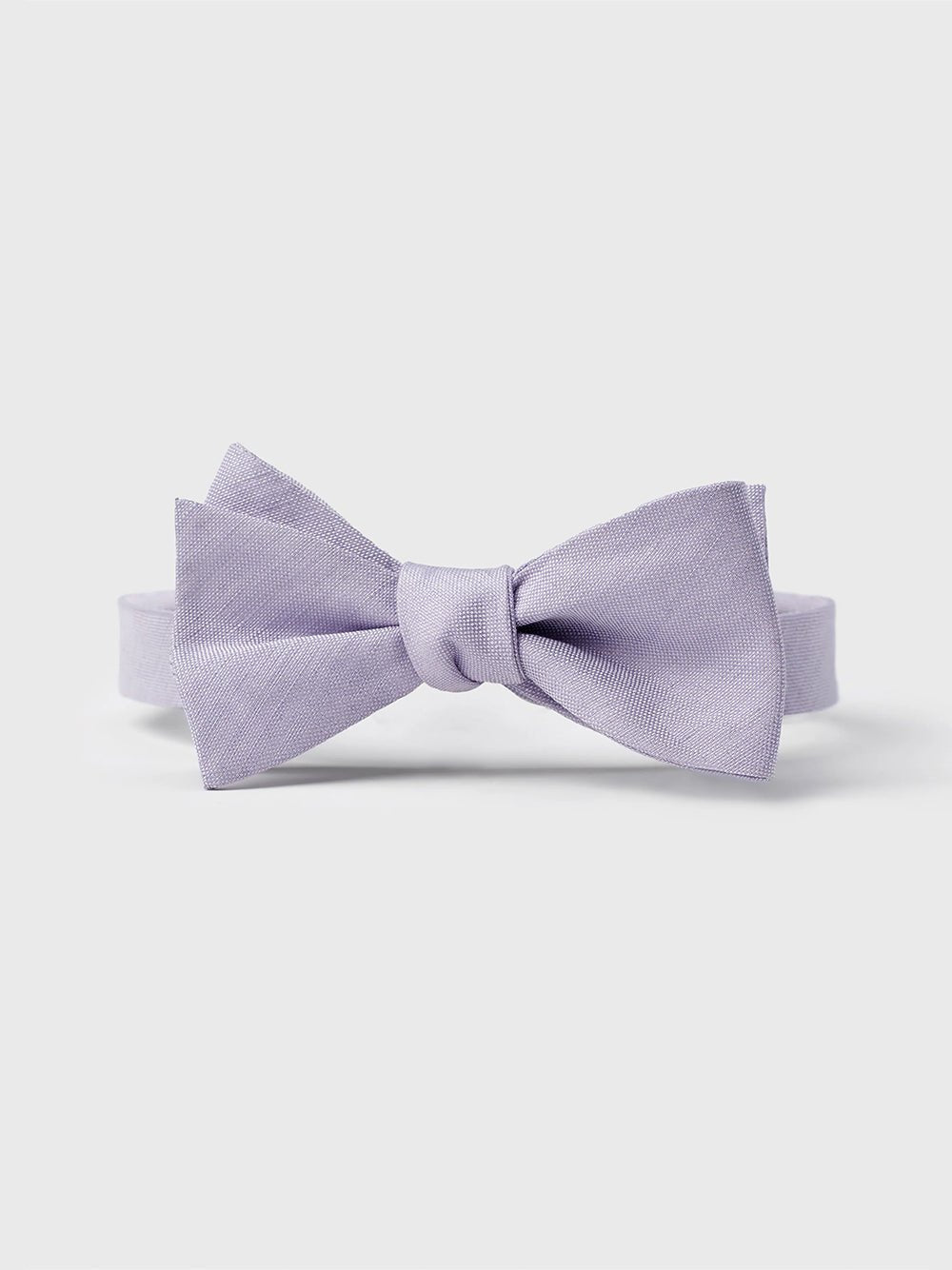 Light purple bow tie on a white background.