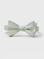 Pale Seafoam Butterfly Bow Tie - The Black Tux