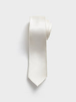 Platinum Neckwear Swatch - The Black Tux