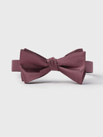 Burgundy satin bow tie on a white background.